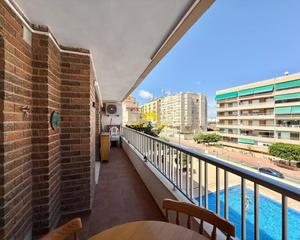 Alquiler Apartamento en Punta Prima. Iexclalquiler desde septiembre para todo el antildeo!ampnbspte p