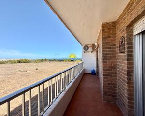 Location Appartement à Punta Prima. Iexclalquiler desde septiembre para todo el antildeo!te presenta