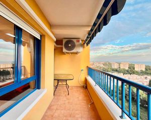 Affitto Appartamento in Campoamor. Iexclalquiler disponible desde septiembre hasta abril!disponible