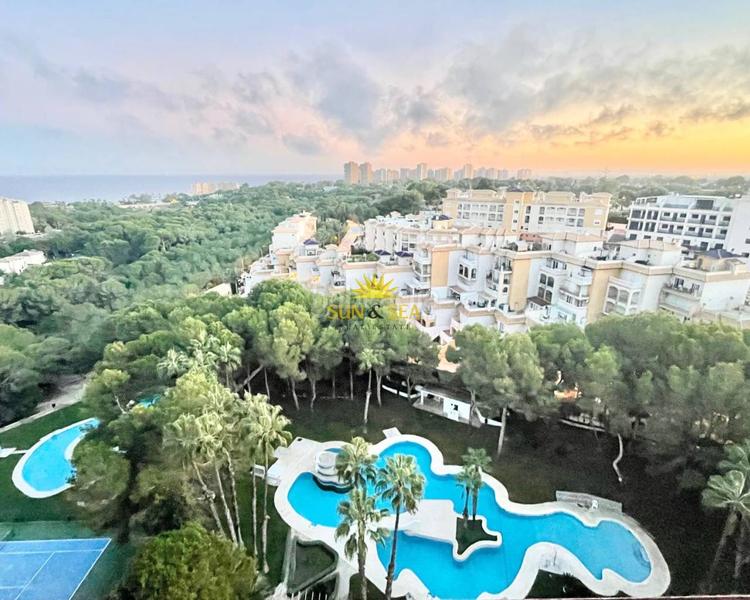 Foto 1dfb9faa-9886-41fb-a24e-2e7f36cd3706. Location attique avec chauffage parking piscine dans Orihuela