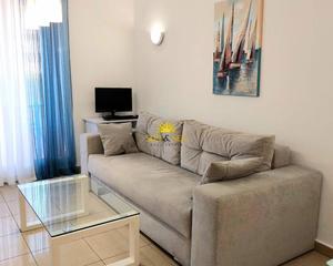 Location Appartement à Zeniamar - Horizonte - La Campana. Iexclalquiler disponible desde ya para todo el antildeo!modernoa
