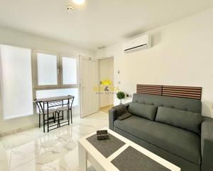 Rent Studio in El Molino. Iexclalquiler vacacional de planta primera quotequot en torrevie