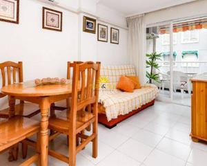 Lloguer Apartament a Avenida Habaneras - Curva de Palangre. Alquiler disponible desde el 15 de noviembre hasta el 15 de juni