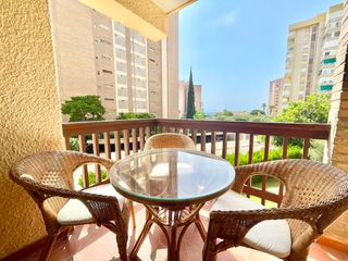 Affitto Monolocale in Campoamor. Iexclalquiler desde septiembre hasta junio!te presentamos este a