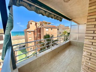 Alquiler Piso en Guardamar Playa. Alquiler disponible desde septiembre hasta junioeste apartamento
