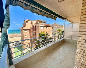 Location Appartement à Guardamar Playa. Ltpgtltstronggtalquiler disponible desde septiembre 2024 hasta j