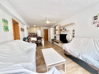 Alquiler Apartamento en Guardamar Playa. Iexclalquiler disponible de septiembre a junio en guardamar del