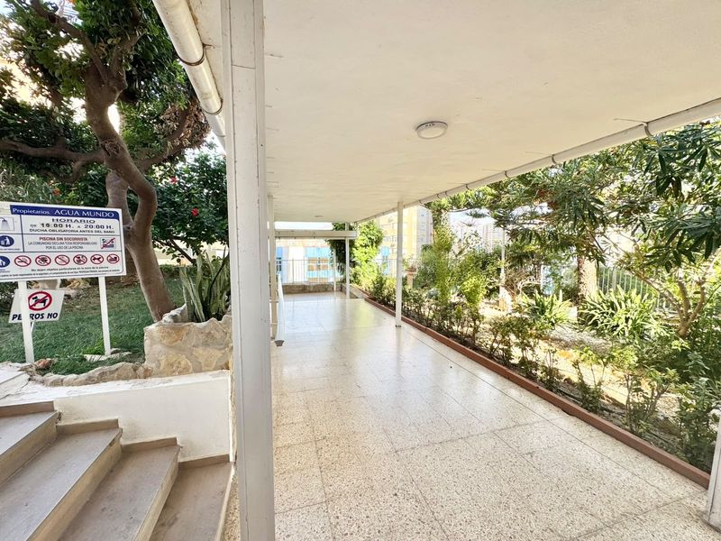 Foto 69677214-a991-453e-95e9-1120963316ea. Lloguer apartament amb calefacció piscina a Rincón Alto Benidorm