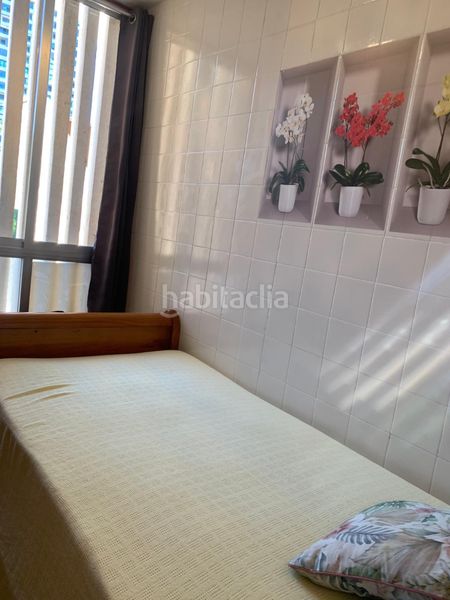 Foto 4d50e13b-42a8-4286-b0da-c56892a2a3b8. Miete appartement mit heizung pool in Playa Poniente Benidorm