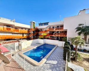 Rent Flat in Avenida Habaneras - Curva de Palangre. Iexclalquiler desde finales de septiembre hasta junio!presentamo