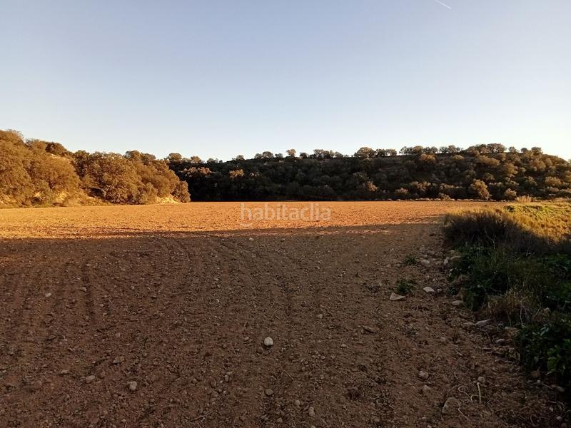 Foto cc7aea45-b360-416c-9a0c-7fcf49bd0fb4. Propriété dans Monzón