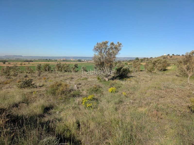 Foto 350705cf-59a1-47eb-b4c3-5ee3b7f59a0b. Rural plot in Monzón