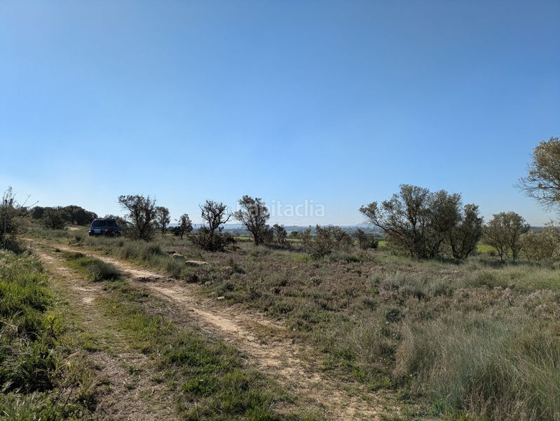 Foto 67247733-fc2d-47a7-b0e1-47e812d94776. Rural plot in Monzón