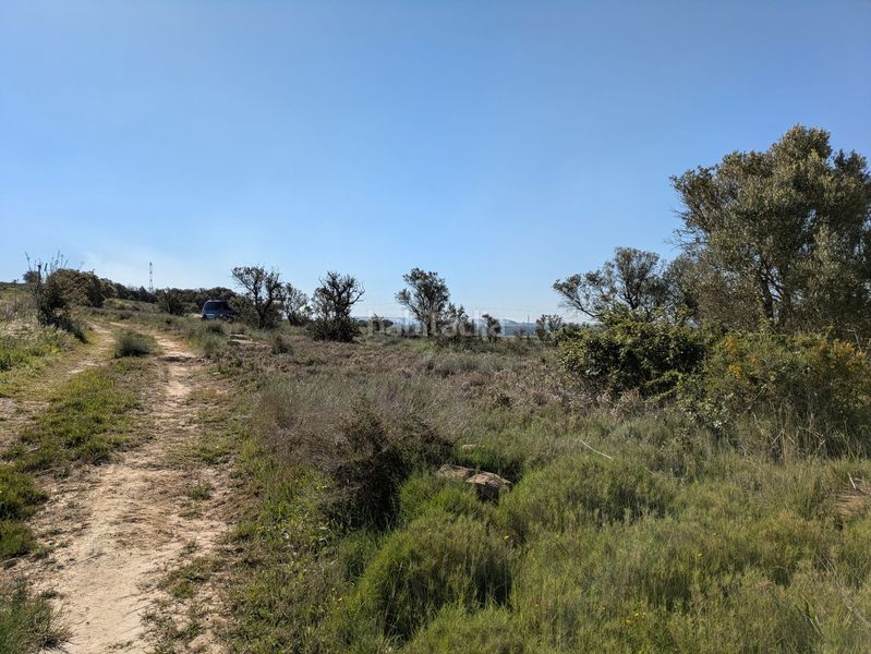 Foto a75db70c-e365-4679-ad75-6f1f40bfa944. Rural plot in Monzón