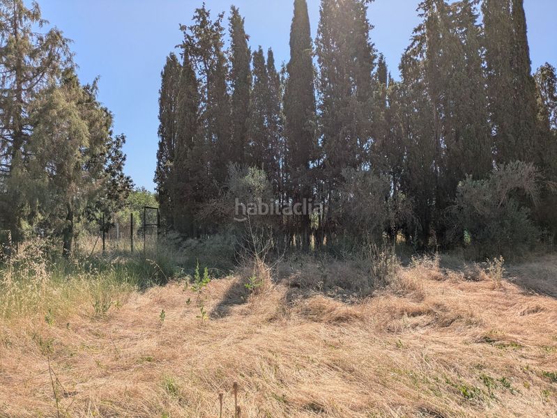 Foto b082bbbf-fe96-4c42-9e30-e59ffcf2a00e. Finca rústica en Castejón del Puente