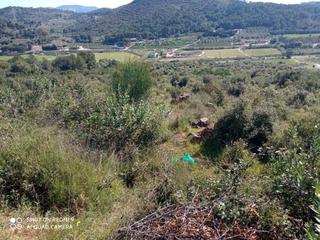 Finca rústica a Alforja. Finca rustica en alforja