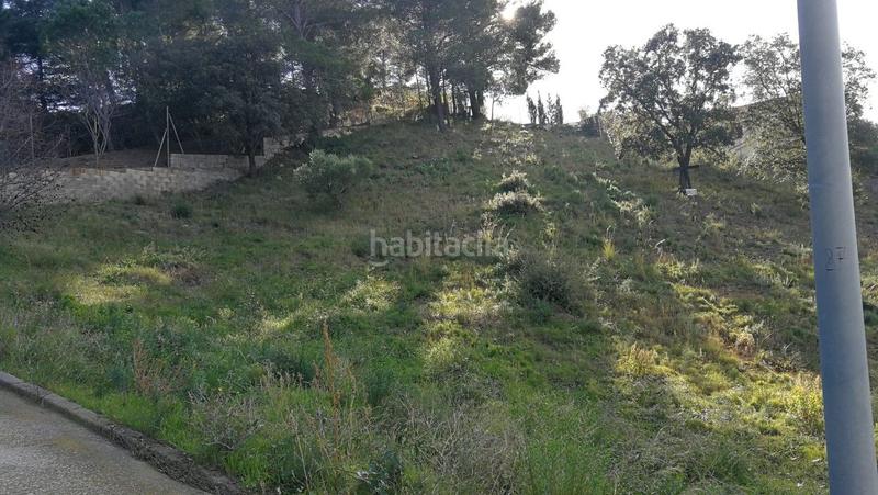 Foto e6847887-f163-46b8-8b92-17d18260a5cb. Terreny residencial a Almoster