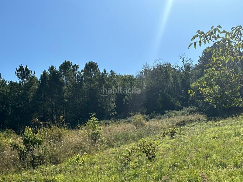 Foto 3306859c-648e-4031-8761-fd61d7ca28e8. Terreny residencial a Arganza