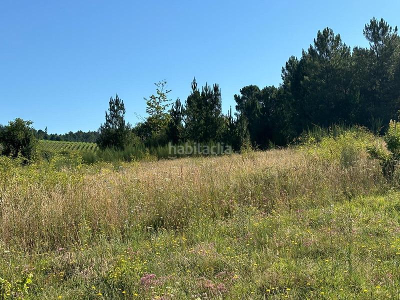 Foto 38358d28-907d-4062-aa64-8e407b47af90. Terreny residencial a Arganza