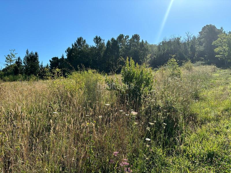 Foto fb1e8c40-73a8-4d73-be29-e84f59e725fd. Terreny residencial a Arganza