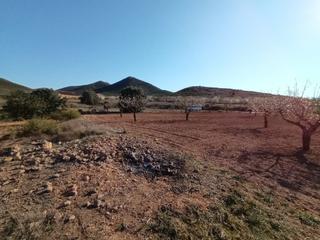 Finca rústica a La Pinilla - Las Palas. Se venddde terreno rústico en las palas
