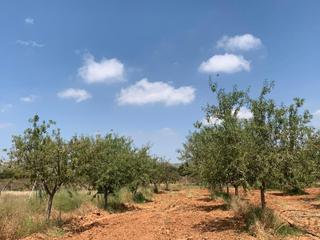 Finca rústica a La Magdalena - Molinos Marfagones. Se vende terreno en la carretera de la aljorra