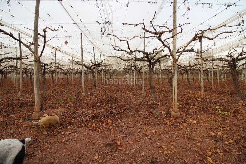 Foto 0b1ae1bc-5039-4962-ac08-087470985af3. Landgut in Totana