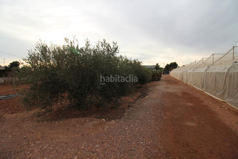 Foto 827aa2c5-a25c-40df-a45f-ff59bb7f1fa1. Landgut in Totana