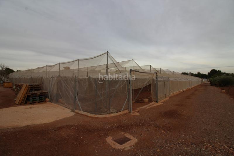 Foto 989b75ea-6853-496a-96b3-e959f4a5b1bf. Landgut in Totana