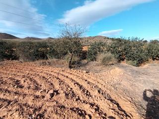 Finca rústica a Las Cánovas - Cuevas de Reyllo. Se vende terreno rústico en el pasaje los legaces