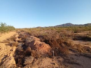 Finca rústica a Las Cánovas - Cuevas de Reyllo. Se vende finca en la pinilla de fuente alamo