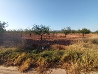 Finca rústica a La Pinilla - Las Palas. Se vende finca en la pinilla