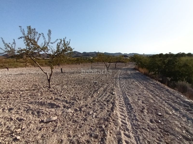 Foto 006d9a48-15c2-44f3-ae3d-7ce690a6d761. Finca rústica a lugar las barrenas 6 a Perín Cartagena