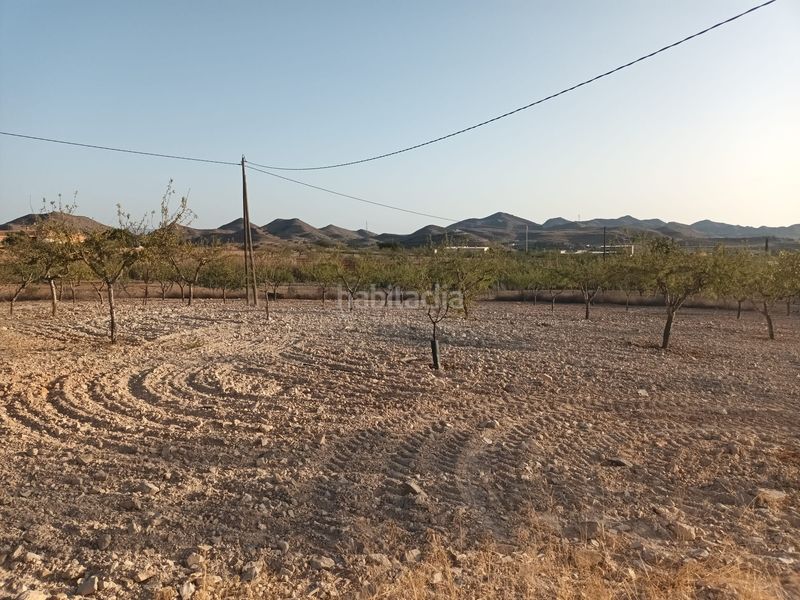 Foto 4facb413-1087-45e3-8012-f785368303a0. Finca rústica a lugar las barrenas 6 a Perín Cartagena