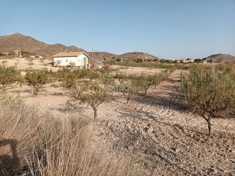 Foto 51038927-c852-4f24-96c2-96a67459c4c0. Finca rústica a lugar las barrenas 6 a Perín Cartagena
