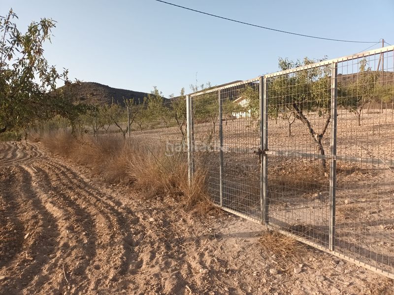 Foto 53b57242-35c6-4d57-b72d-1053faa563e6. Finca rústica a lugar las barrenas 6 a Perín Cartagena