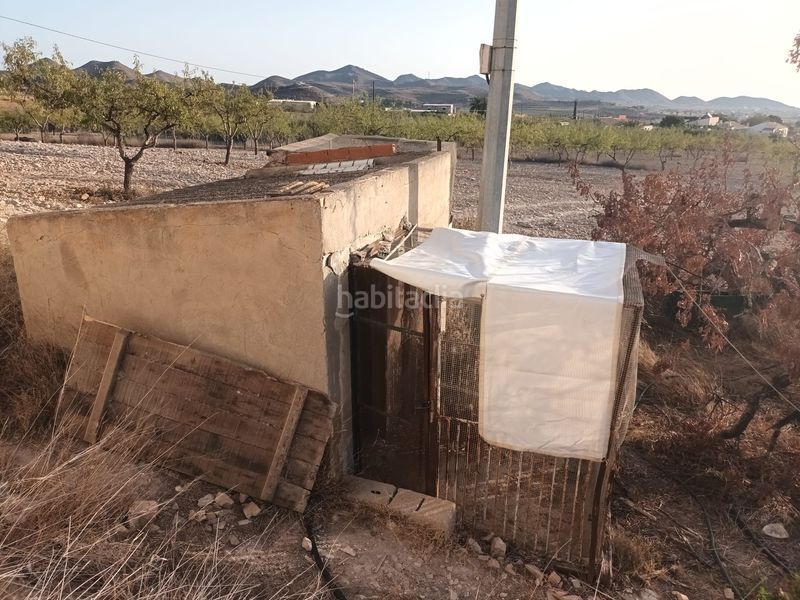 Foto 53f2c015-3312-492d-88f9-14e45acc2bc6. Finca rústica a lugar las barrenas 6 a Perín Cartagena