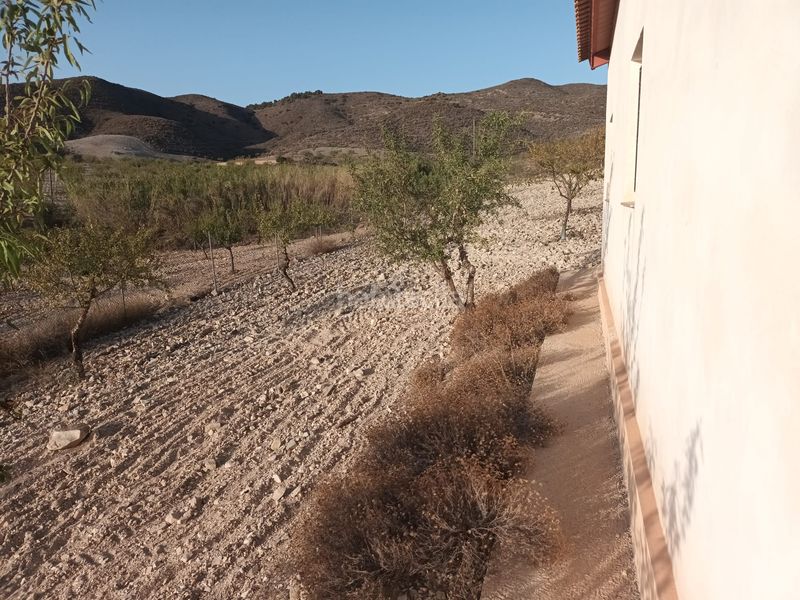 Foto 5e7772f4-da87-43d7-bebe-e8ffd6508392. Finca rústica a lugar las barrenas 6 a Perín Cartagena