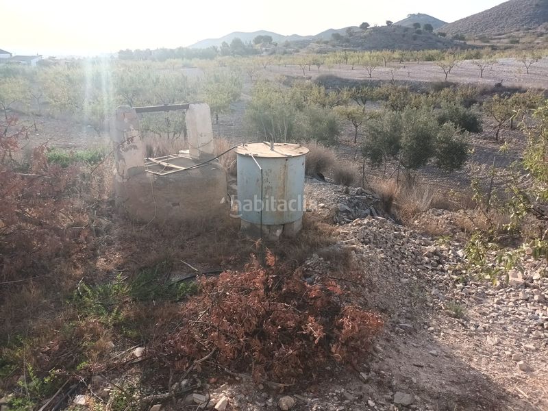 Foto 754f0e70-1661-4431-b7bd-03c6680779d6. Finca rústica a lugar las barrenas 6 a Perín Cartagena