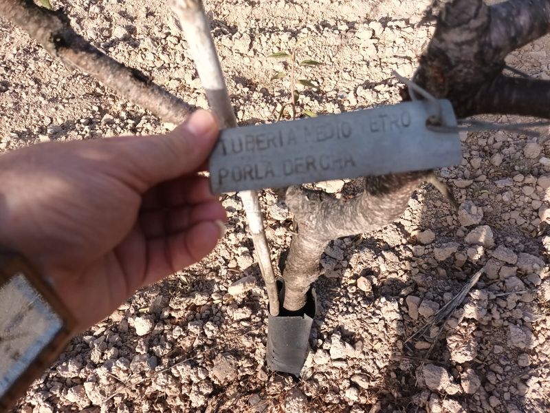 Foto 77a4fa08-bfc7-4a27-910e-8237e03c3632. Finca rústica a lugar las barrenas 6 a Perín Cartagena
