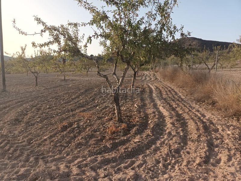 Foto a45d3279-8d65-4ca7-a3e4-12d29de0e11e. Finca rústica a lugar las barrenas 6 a Perín Cartagena