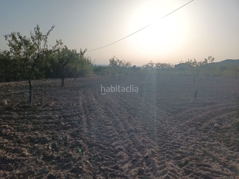 Foto d93f2bac-7f3d-4957-968f-32fcd5714ebf. Finca rústica a lugar las barrenas 6 a Perín Cartagena