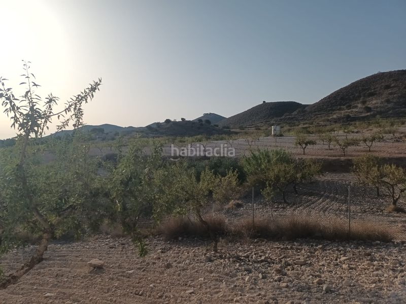 Foto f35cb781-018b-4923-b1be-6ed4e1b2ba45. Finca rústica a lugar las barrenas 6 a Perín Cartagena