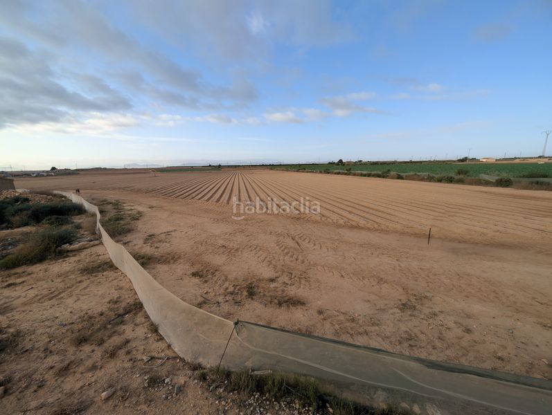 Foto 9d2ab237-201c-4f82-bdac-bacedf021839. Casa amb aparcament a Roldán Torre - Pacheco