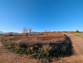 Finca rústica a Pasaje los segados 152. Finca  rustica en pozo los palos  ( mendez )
