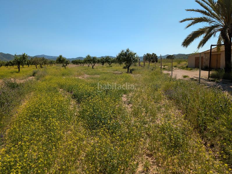 Foto 4166079a-aaf2-4ceb-a593-be3b94fa27bf. Mas avec cheminée parking dans Campo Nubla Cartagena