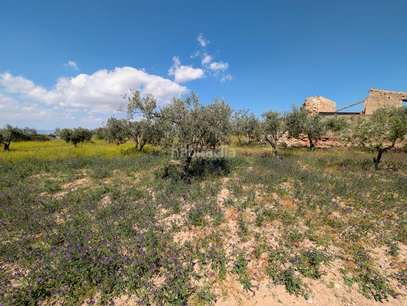 Foto 4bb11b0d-b111-4c54-8c8e-ed3b0d9cea06. Mas avec cheminée parking dans Campo Nubla Cartagena