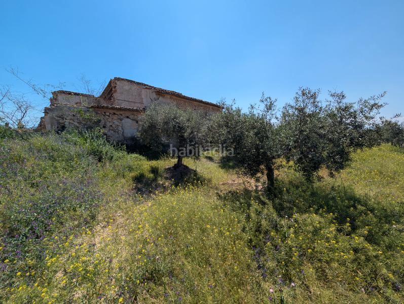 Foto 716ce05e-4a3e-416b-a62b-2f8820f806b4. Mas avec cheminée parking dans Campo Nubla Cartagena