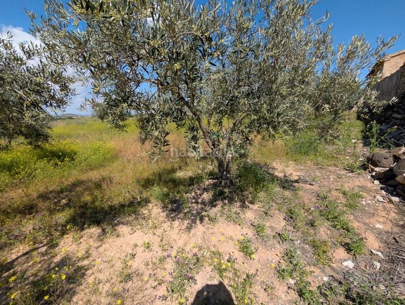 Foto 74bf6c00-3c65-449e-b2e5-016c42ad8c6b. Mas avec cheminée parking dans Campo Nubla Cartagena