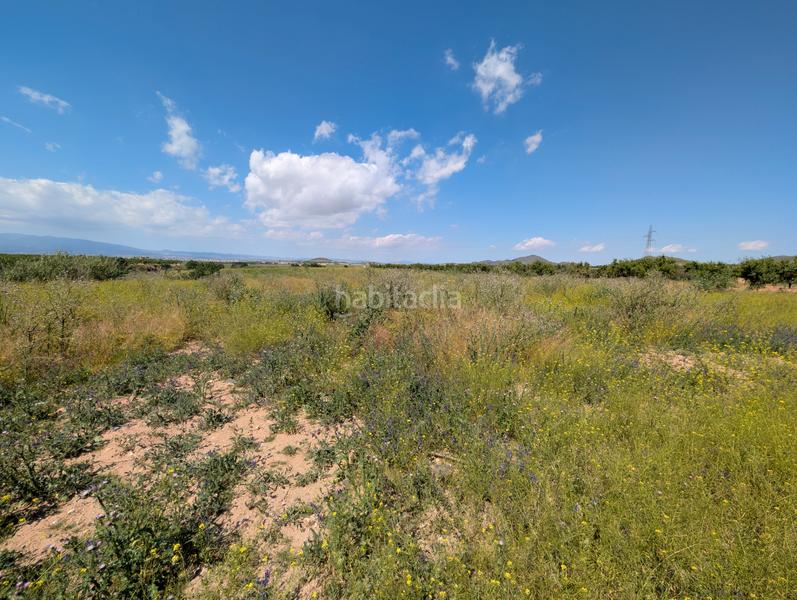 Foto 985034a9-1c16-45fd-8656-0c994ec972a8. Mas avec cheminée parking dans Campo Nubla Cartagena